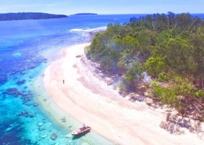 dany-island-aerial-view
